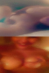 Single ebony pussy Houston