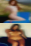 Swingers Shasta