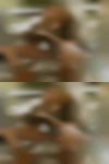 Horny Michigan housewife