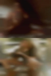 Horny women fight
